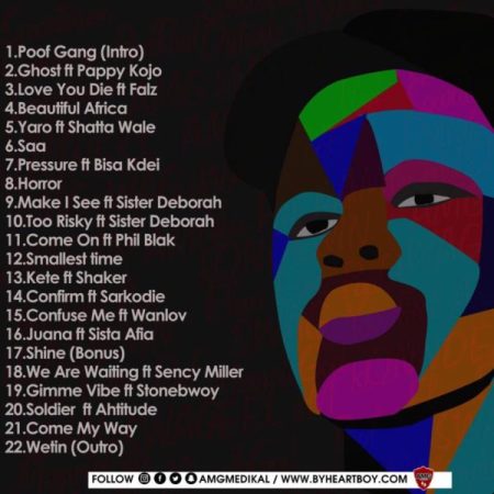 Disturbation Track List