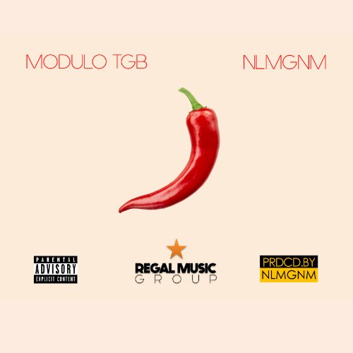 Modulo TGB X NLMGNM – Shito (Prod. By NLMGNM) Modulo TGB X NLMGNM - Shito (Prod. By NLMGNM)