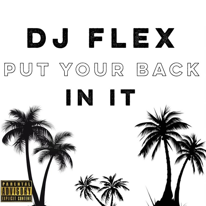 DJ Flex – Put Your Back In It (Afrobeat) DJ Flex - Put Your Back In It (Afrobeat)