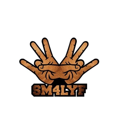 Shatta Wale – Borjor Shatta Wale - Borjor