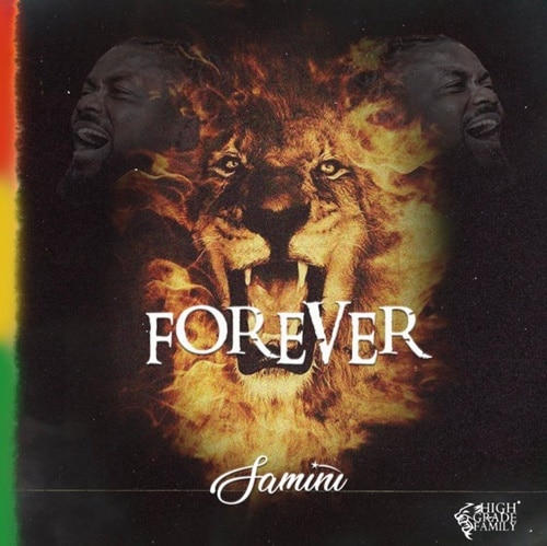 INSTRUMENTAL: Samini – Forever (ReProd. By RichopBeatz) INSTRUMENTAL: Samini - Forever (ReProd. By RichopBeatz)