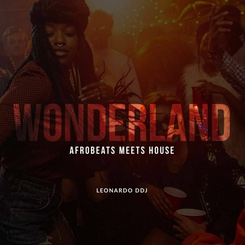 Leonardo DDJ – Wonderland: Afrobeats Meets House (Mixtape)
