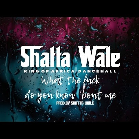 Shatta Wale – What The F*ck Do You Know About Me