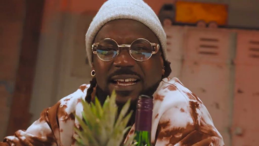 VIDEO: Samini - Abundance