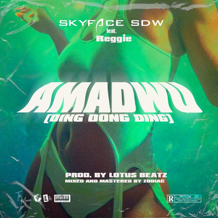 Skyface SDW - Amadwu ( Ding Dong Ding ) (feat. Reggie)