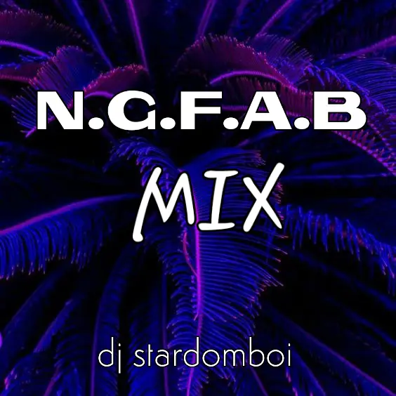 Artwork for the post " DJ Stardomboi - N.G.F.A.B MIX V1 "
