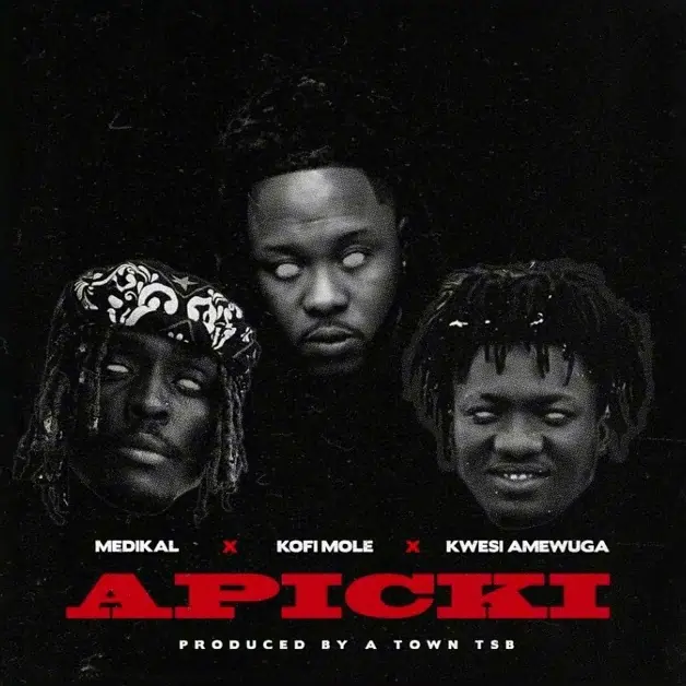 Medikal, Kofi Mole & Kwesi Amewuga - Apicki