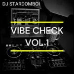 DJ Stardomboi - Vibe Check Vol.1