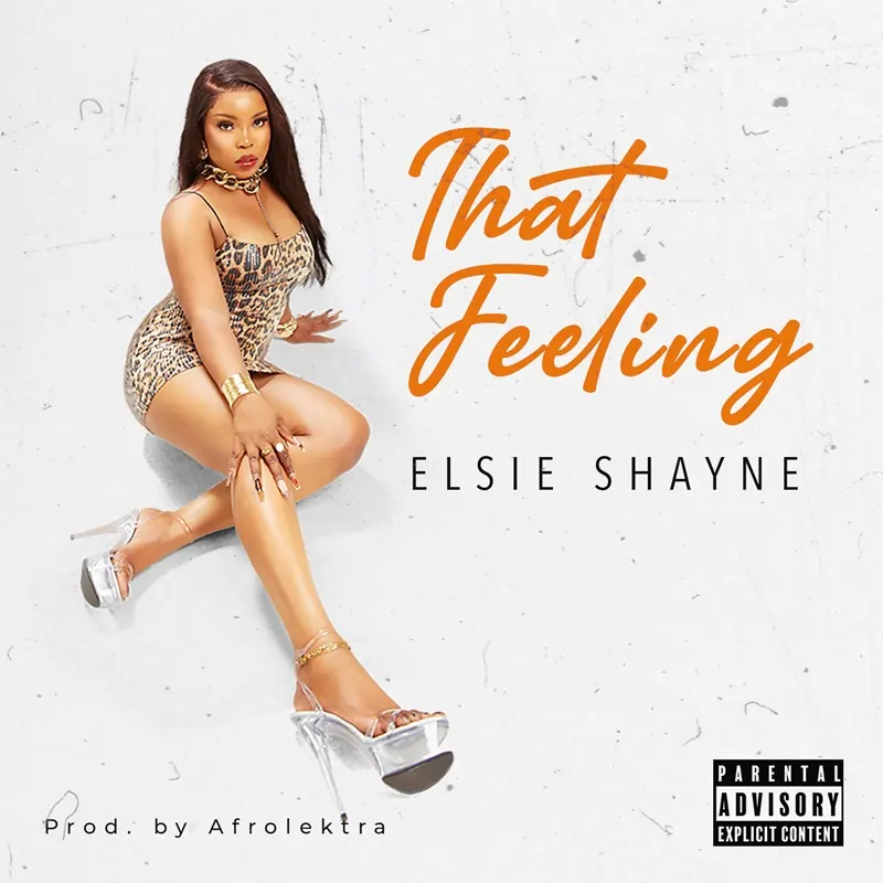 Elsie Shayne - That Feeling (Prod. By DJ Afrolektra)