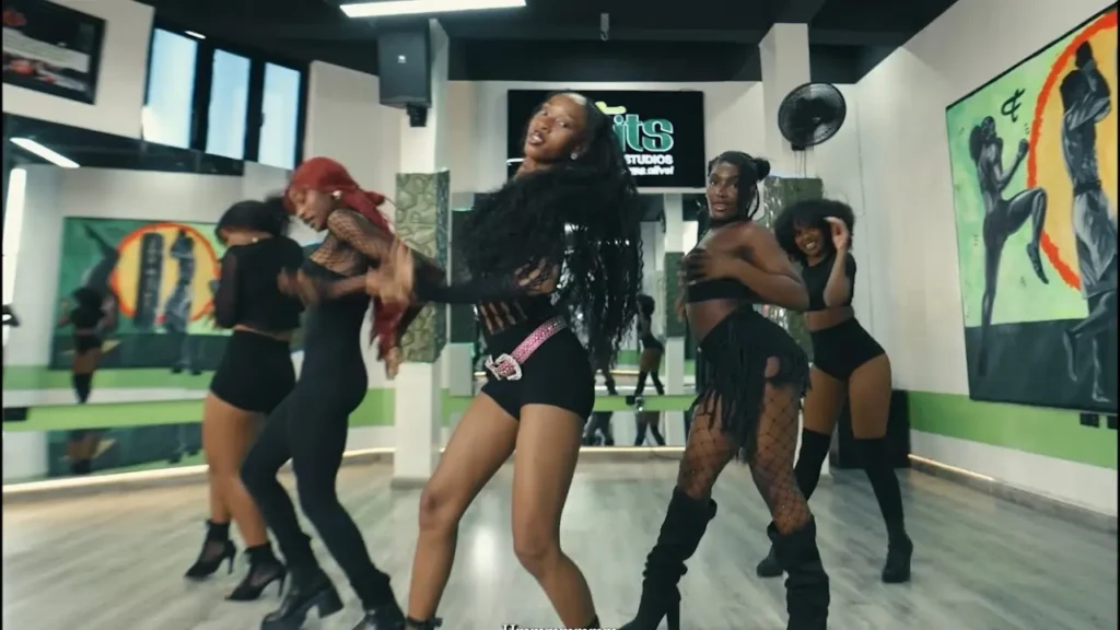 Ashidapo - Zoom (Visualizer)