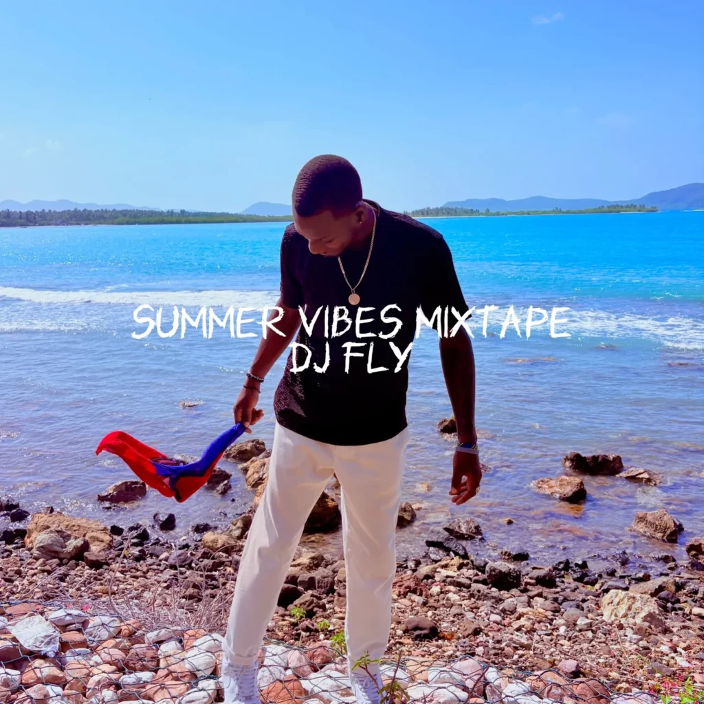 Dj Fly - summer vibes mixtape