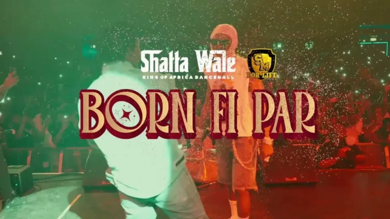 Shatta Wale - Bon FI Par (Official Video)