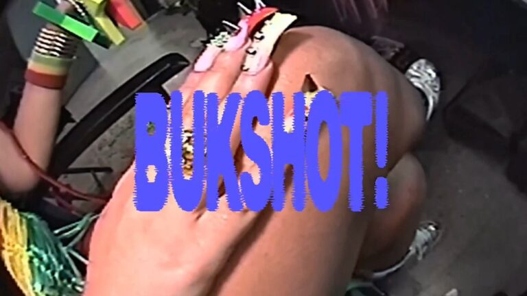 Moliy - Bukshot (feat. Br3nya) (Visualizer)
