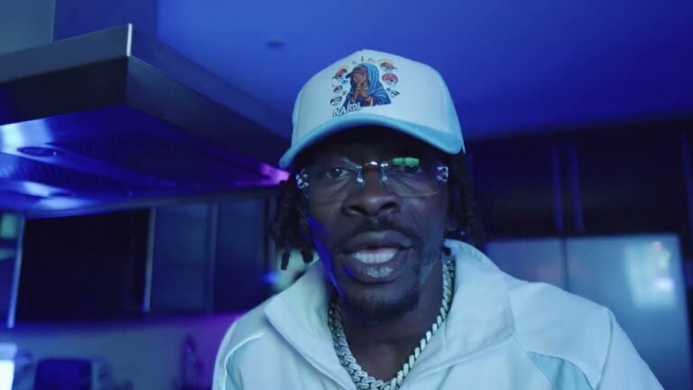 Shatta Wale - Anfa (Official Video)
