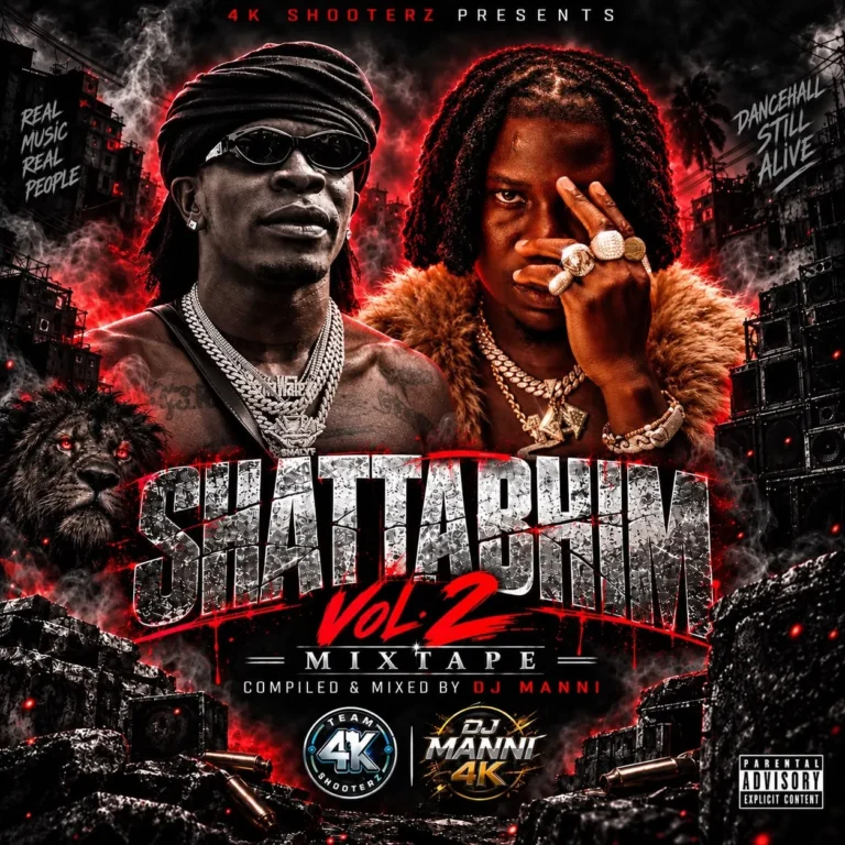 DJ Manni - Shatta BHIM Mixtape Vol.2 2026