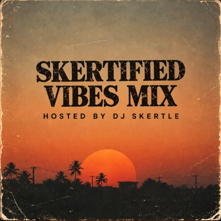 DJ Skertle - Skertified Vibes Mix