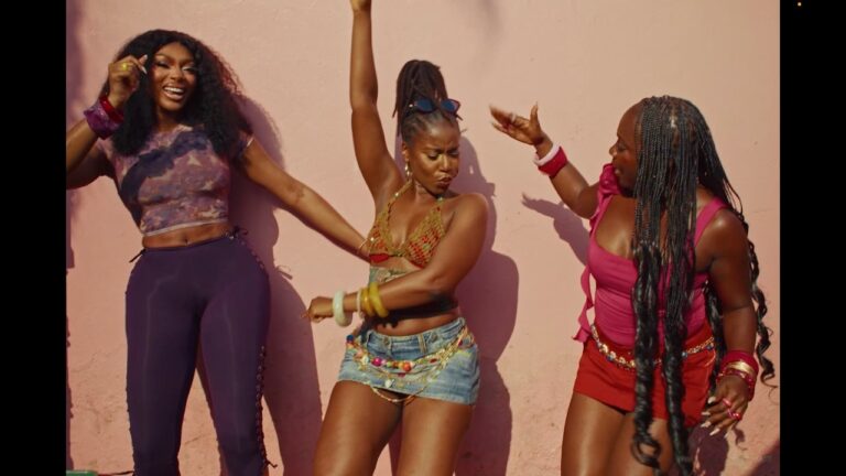 Mzvee ft. Sista Afia, Sefa & Ugoccie - Enjoyment (Official Visualizer)